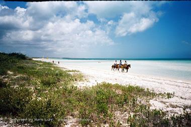 Die Strände auf Cayo Coco,_UW 05_13_B720